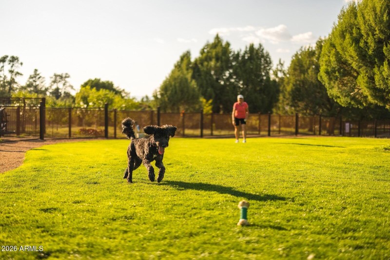 14 Jakes Dog Park