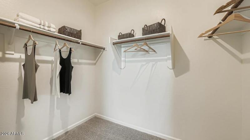 Owners Walk in Closet