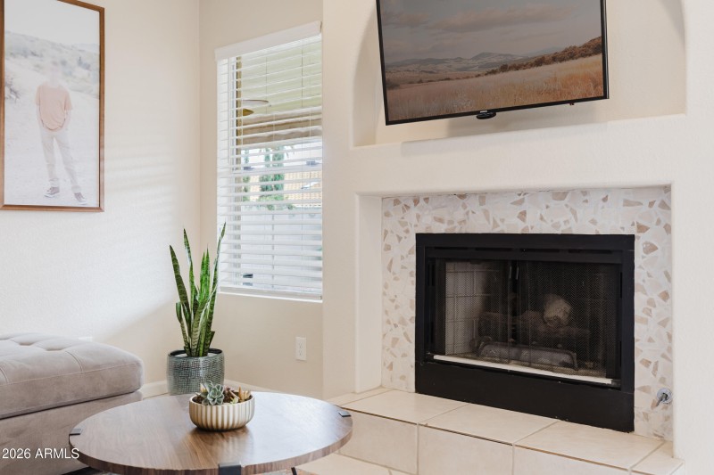 Family room Fireplace