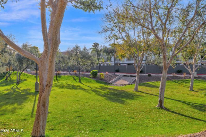 37-web-or-mls-P1448999