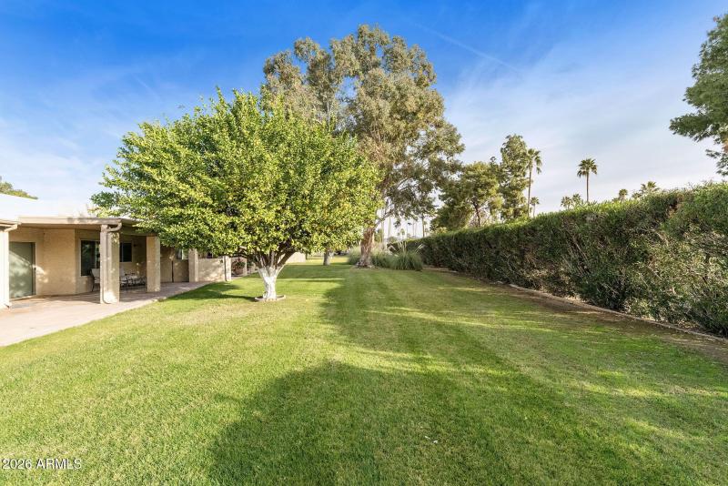 16-web-or-mls-DLB_4886