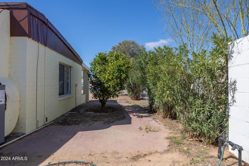 Side Yard