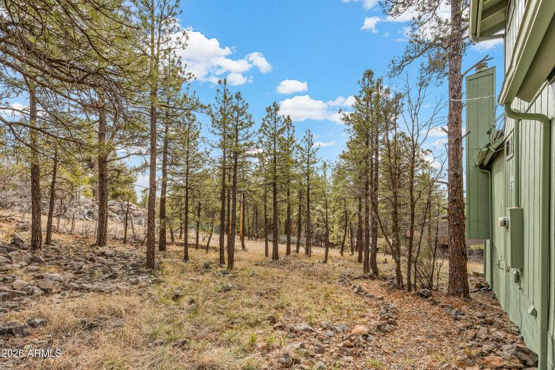 35 W Campfire Trl, Munds Park-20