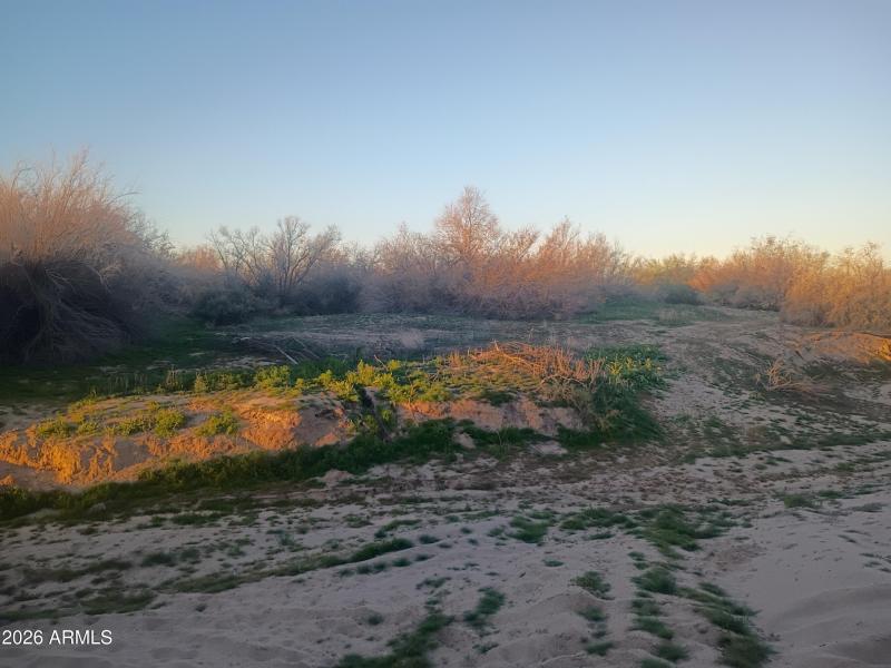 Backs to Gila River Close to gravel