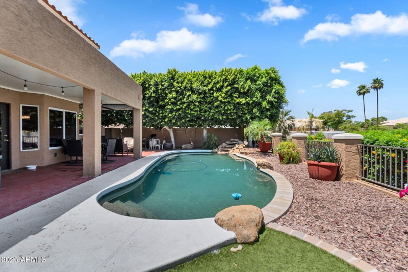 Backyard View with Pool