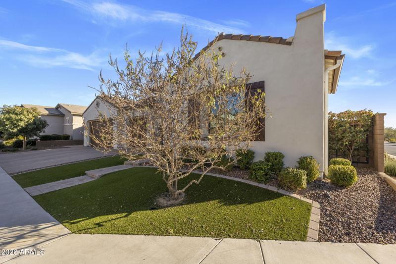 18-web-or-mls-IMG_8347