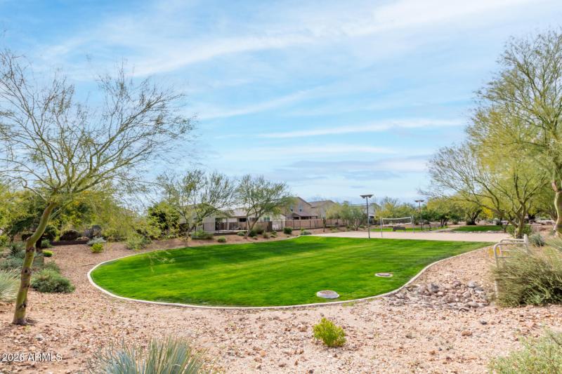 Neighborhood Amenities