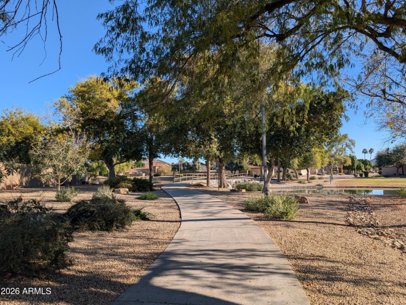 PXL_20260120_173541176