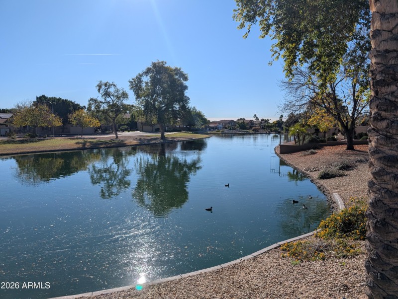 PXL_20260120_173633199