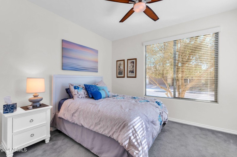 36106 N Desert Tea Dr-24