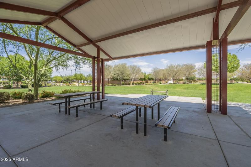 57-web-or-mls-Desert Spoon-57