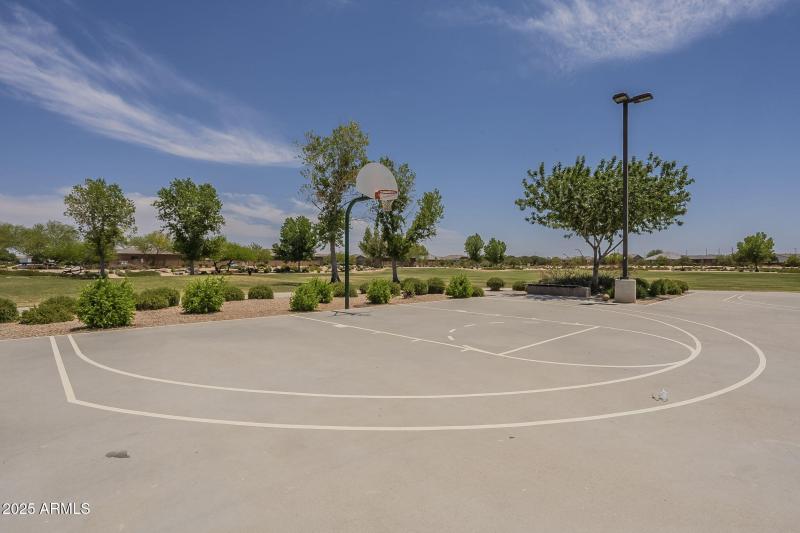 65-web-or-mls-Desert Spoon-65