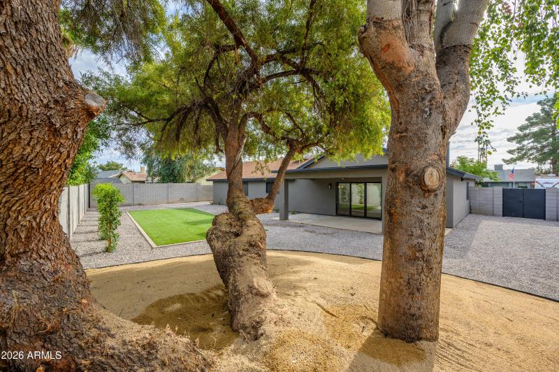 Back Yard with Shade Trees