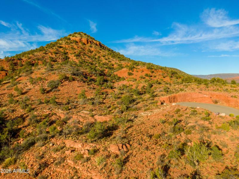 Lots of natural vegetation