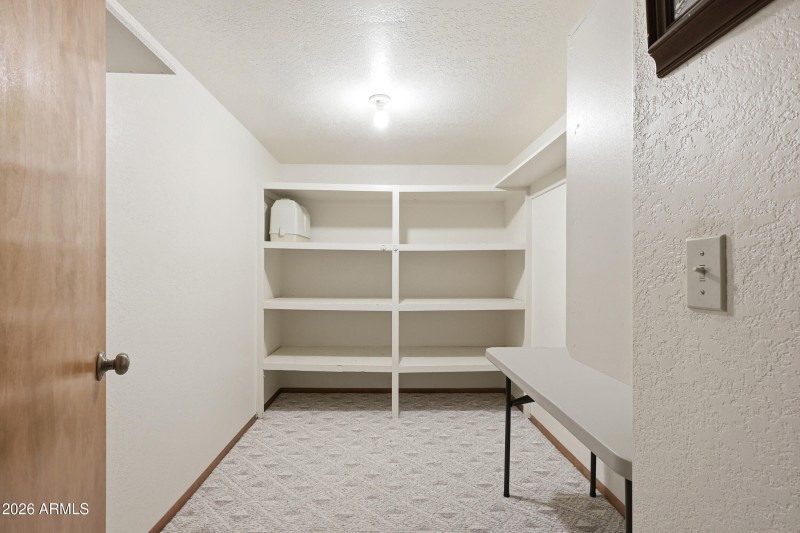 Basement Closet