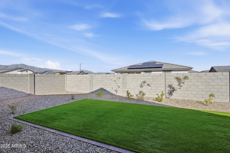 New Backyard picture