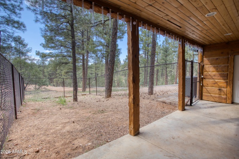 Paxmanphoto_PAX_6710