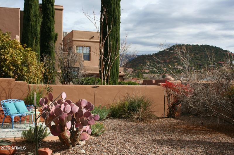 19 backyard with bedroom patio