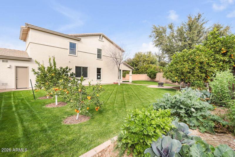 Garden and Fruit Trees