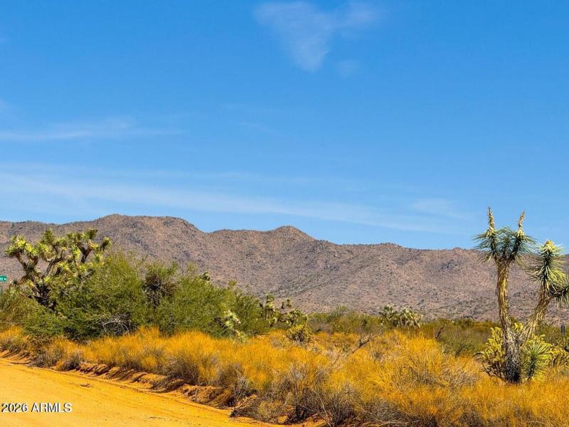 20241013045413975941000000-o