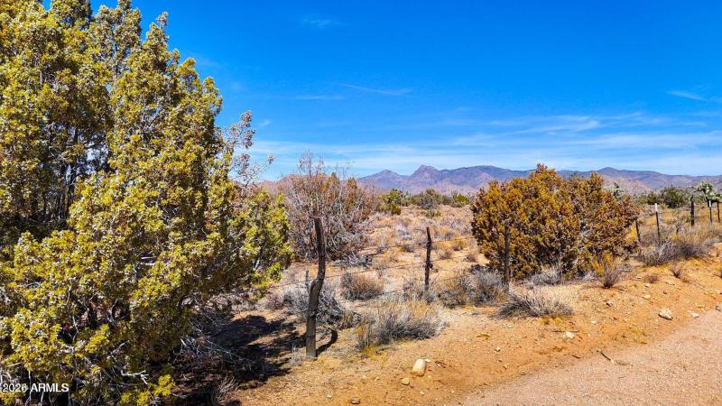 20241013051456703733000000-o