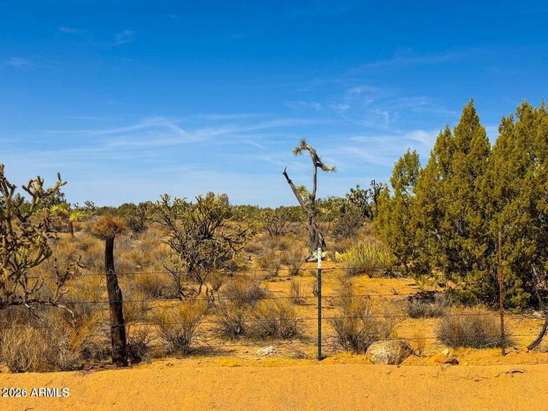 20241013045208157172000000-o