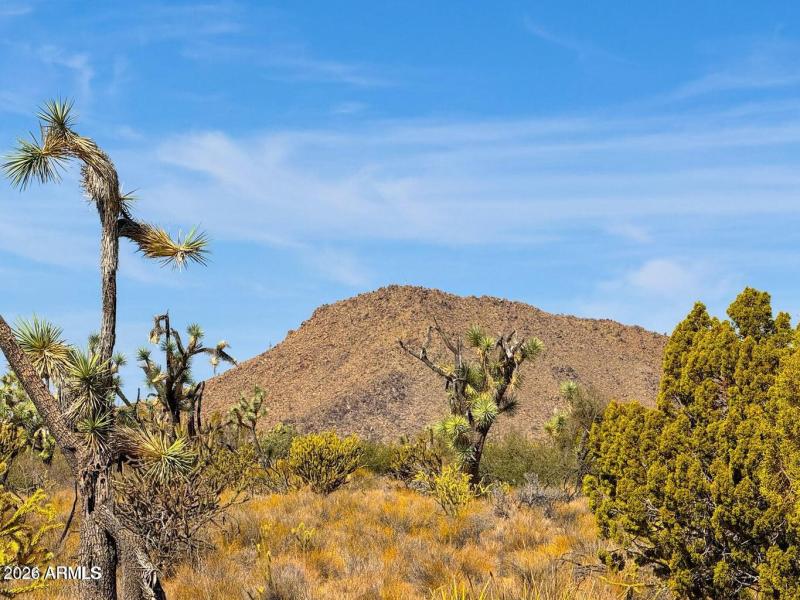 20241013045245057817000000-o