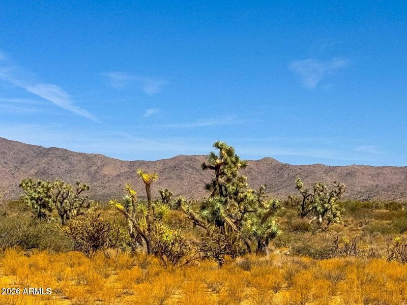 20241013045552537428000000-o