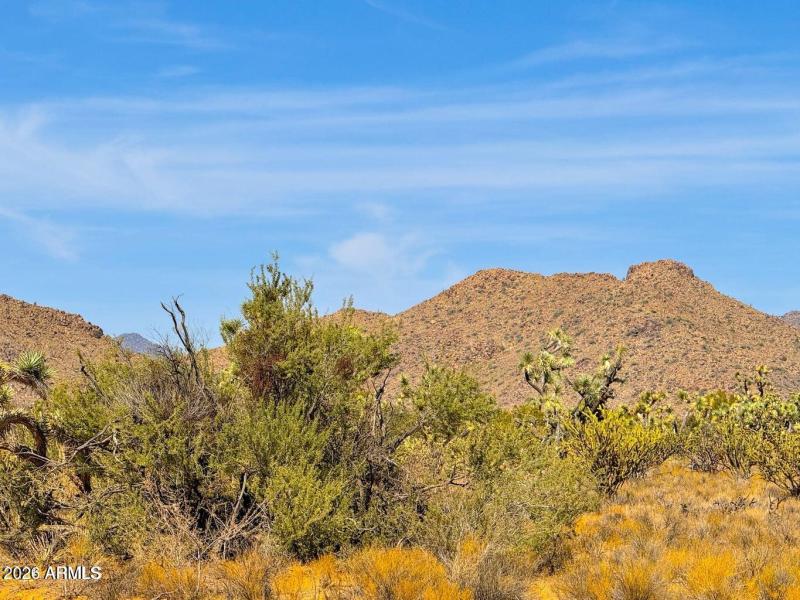 20241013045745836265000000-o