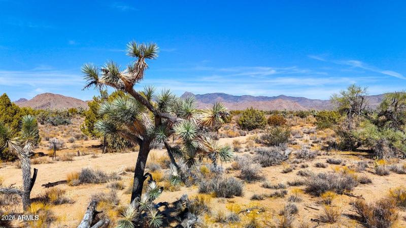 20241013051310510665000000-o