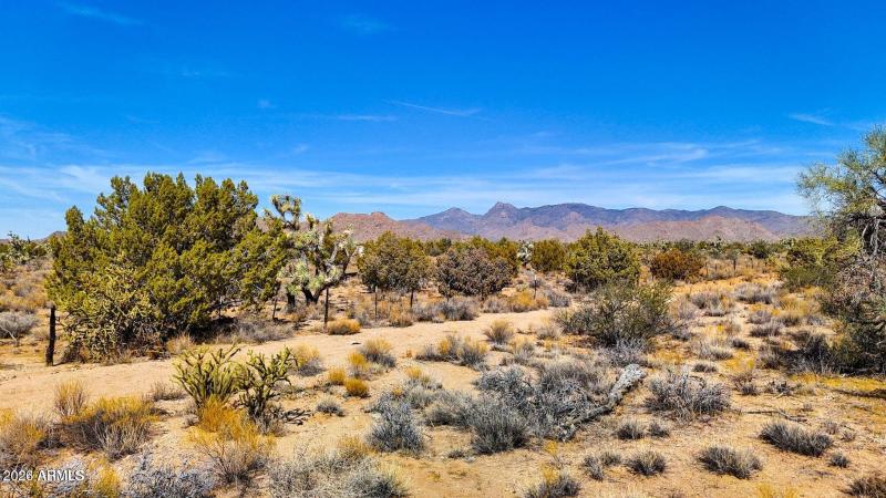 20241013051432810133000000-o