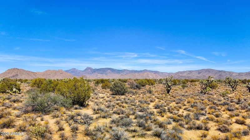 20241013050729460875000000-o