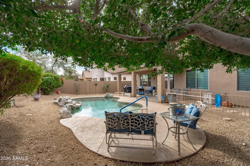 46-Backyard View