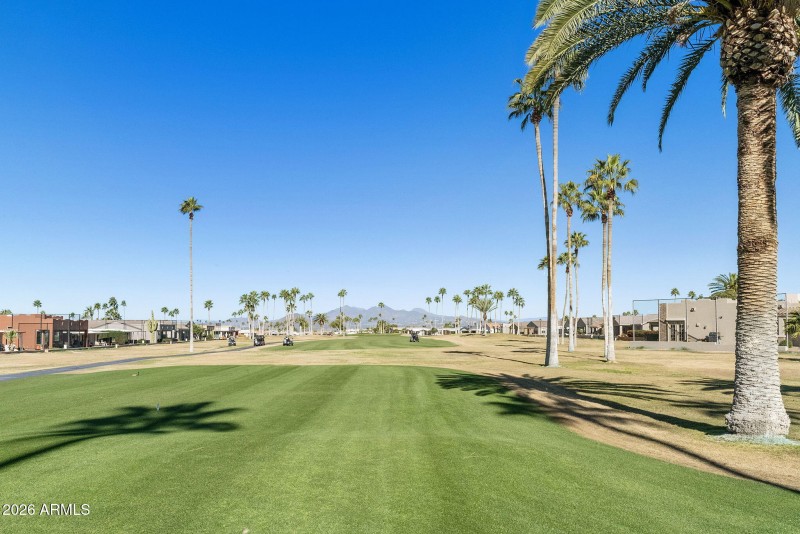 70-web-or-mls-DLB_4523