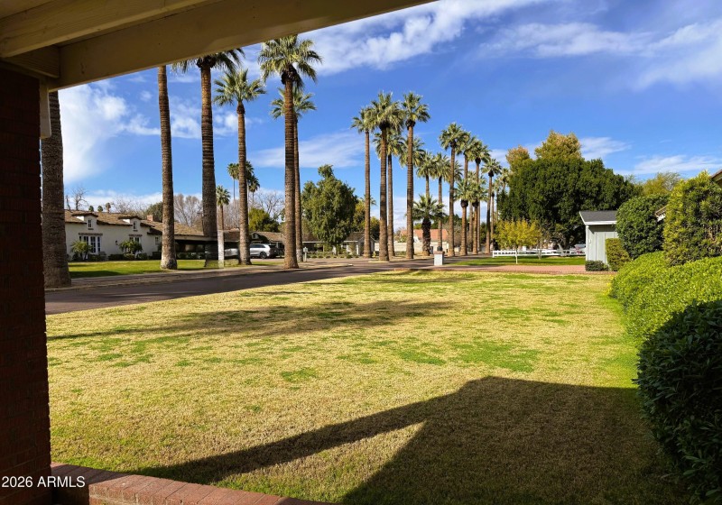 Beautiful street - 11th Ave