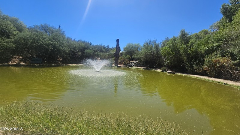 1/4 Acre Pond at the Lazy RC Ranch