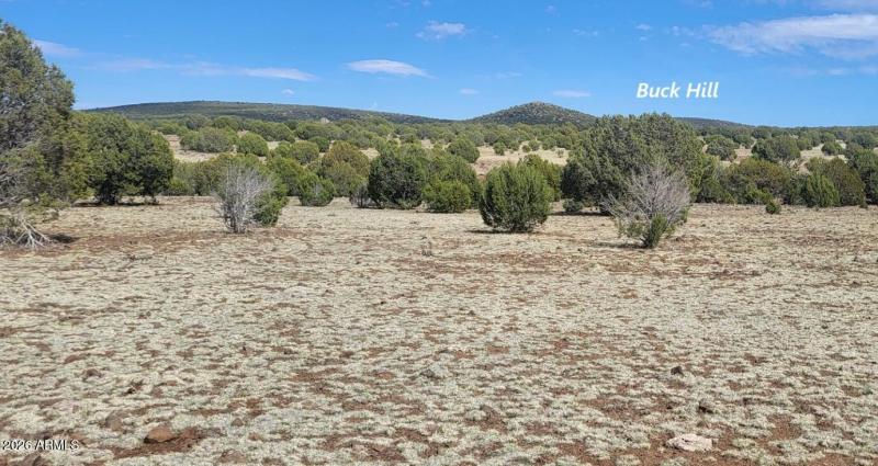 thumbnail_20250416_151052