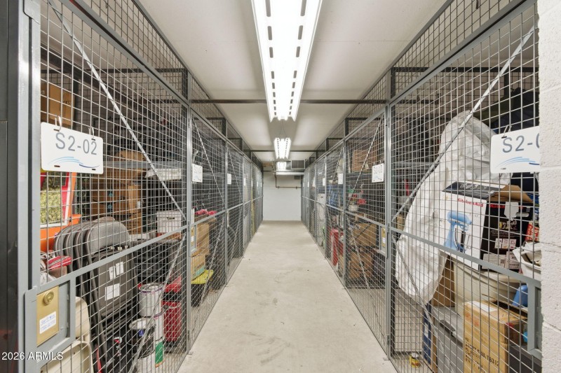 66-web-or-mls-DSC02976