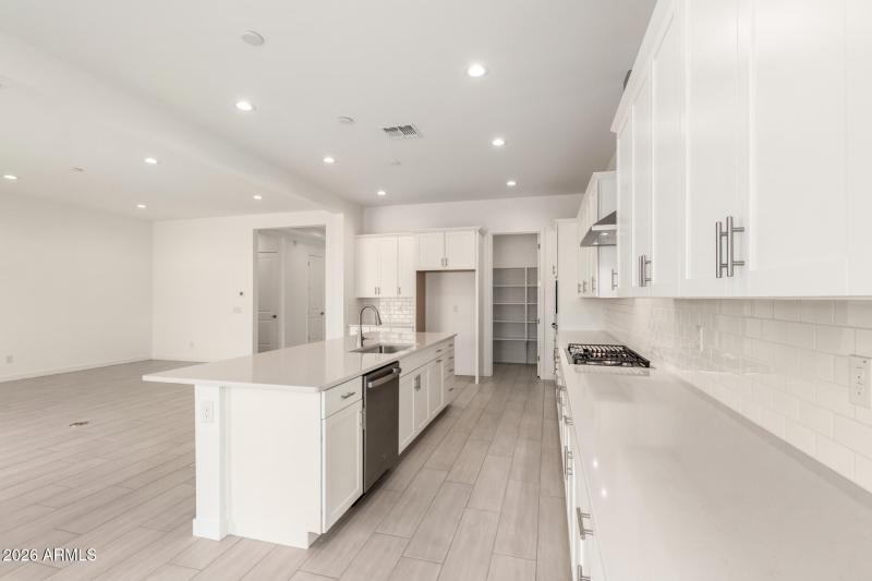 13 - Desert Hollow 15832