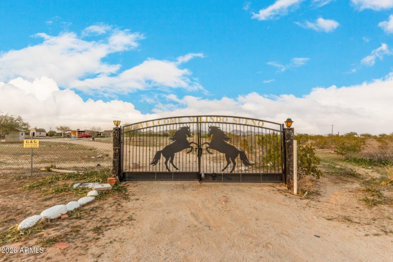 02 - Organ Pipe 54194