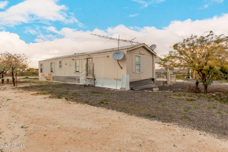 06 - Organ Pipe 54194