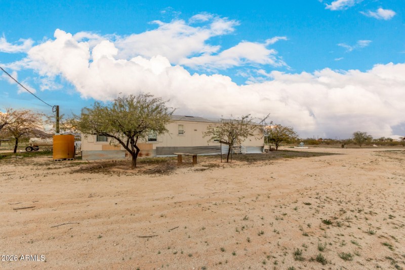 07 - Organ Pipe 54194