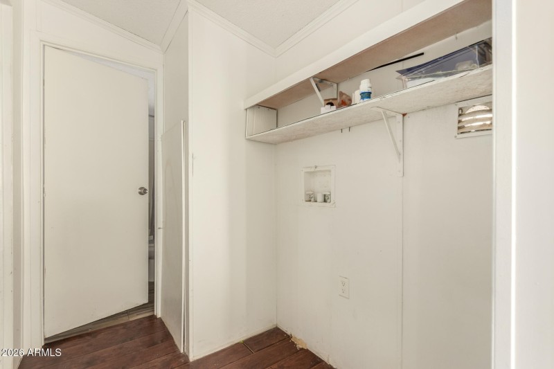 24 - Organ Pipe 54194