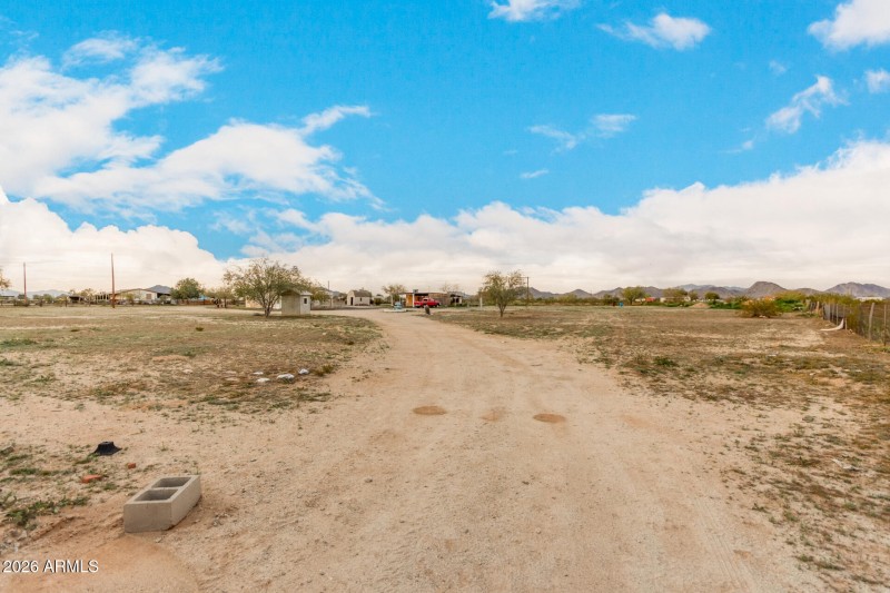 33 - Organ Pipe 54194