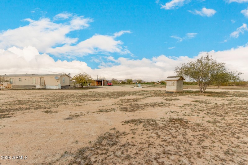 34 - Organ Pipe 54194