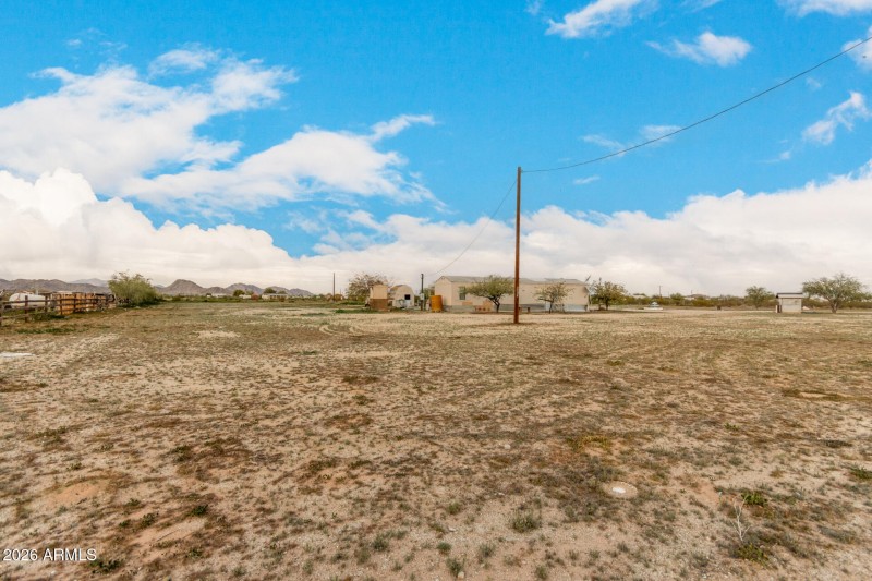 35 - Organ Pipe 54194