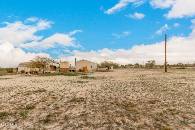 36 - Organ Pipe 54194