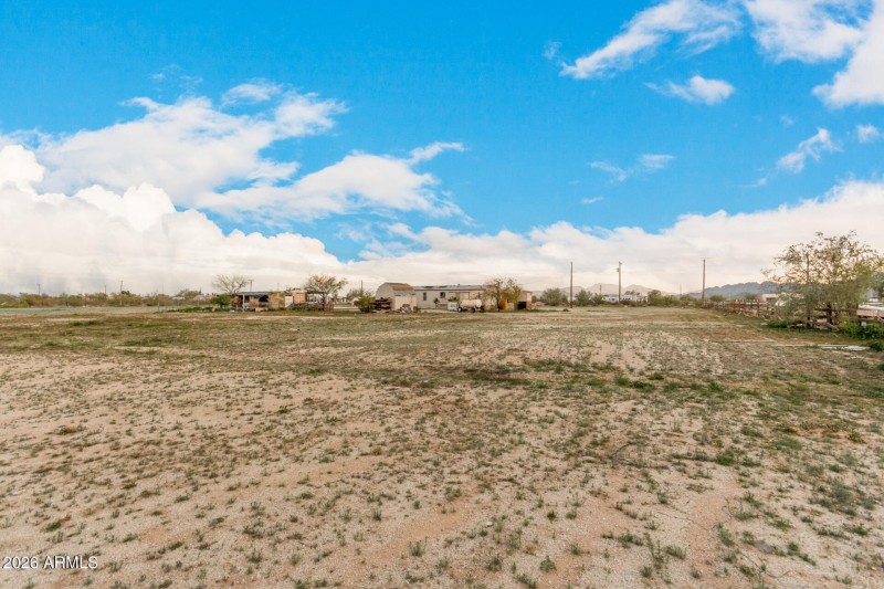 37 - Organ Pipe 54194