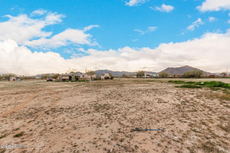 39 - Organ Pipe 54194