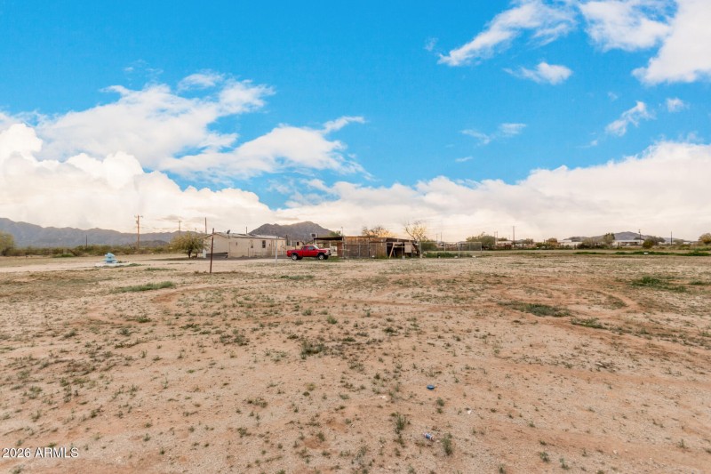 40 - Organ Pipe 54194